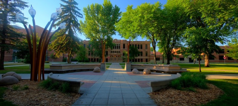 Sown on the MSUM Campus Mall