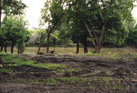 1997 Flood Moorhead River Haven Drive