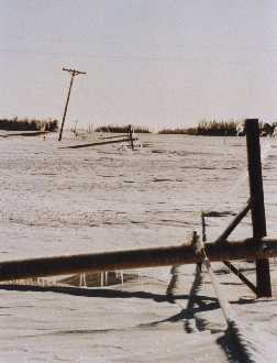 Downed power lines and sub-zero temps